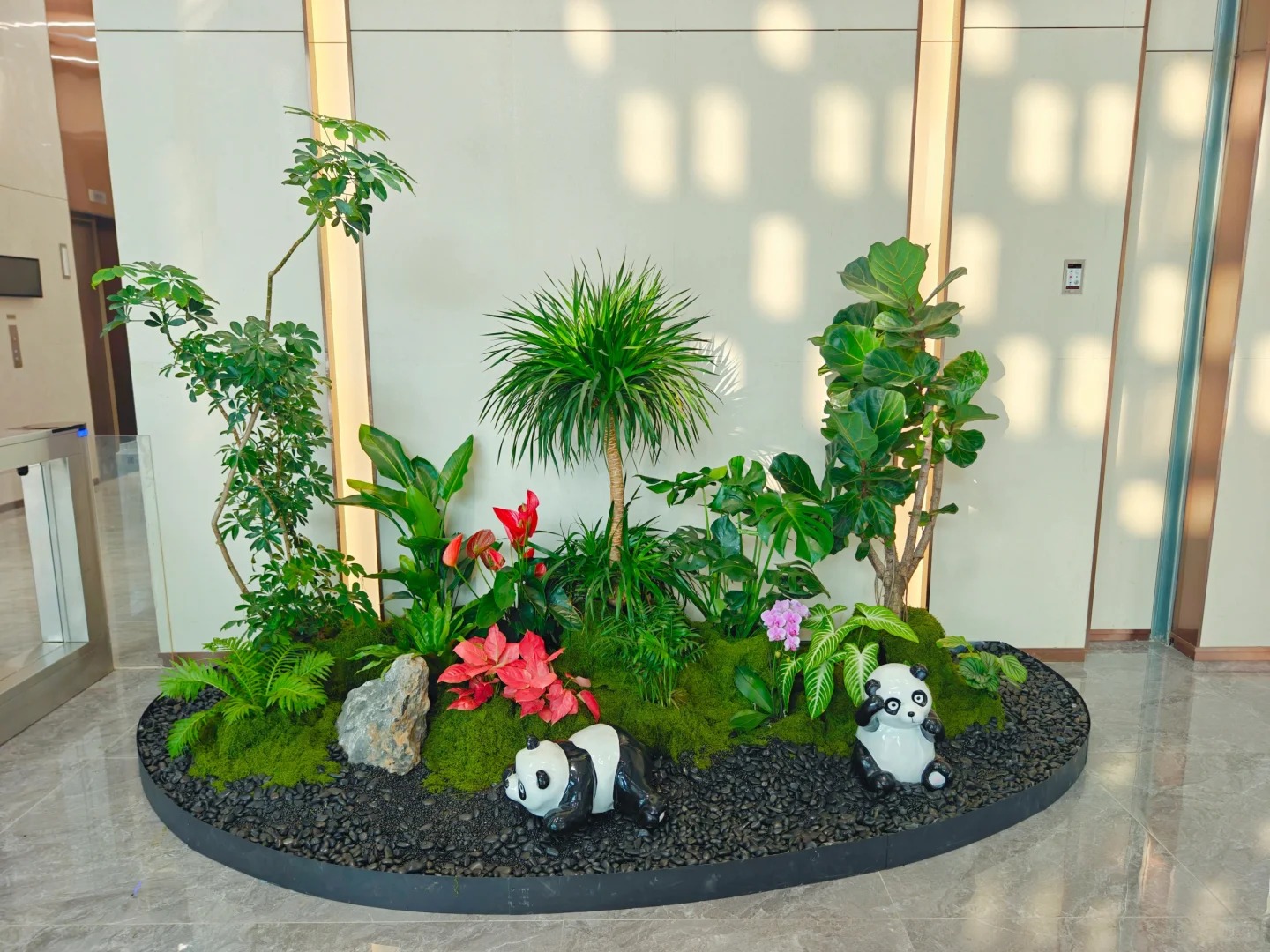 专业余姚植物租摆，让绿植点亮每一处空间！